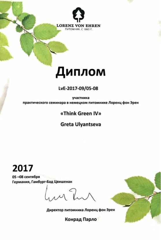 Сертификат 2