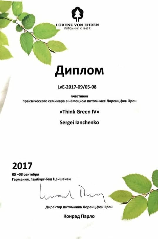 Сертификат 3