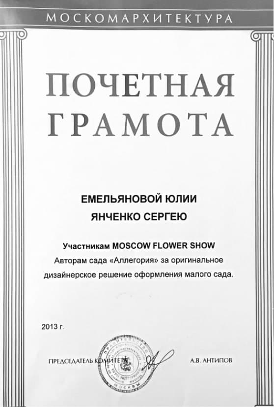 Сертификат 5