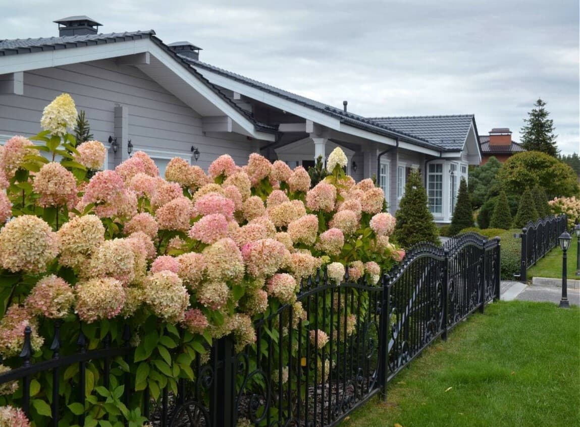 Преимущества авторского надзора