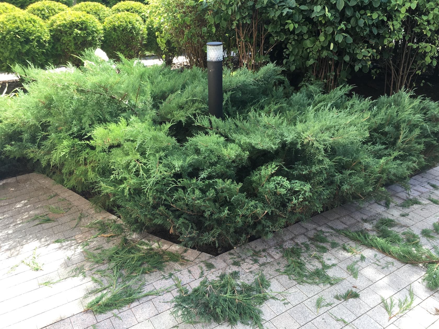 КП Бенилюкс