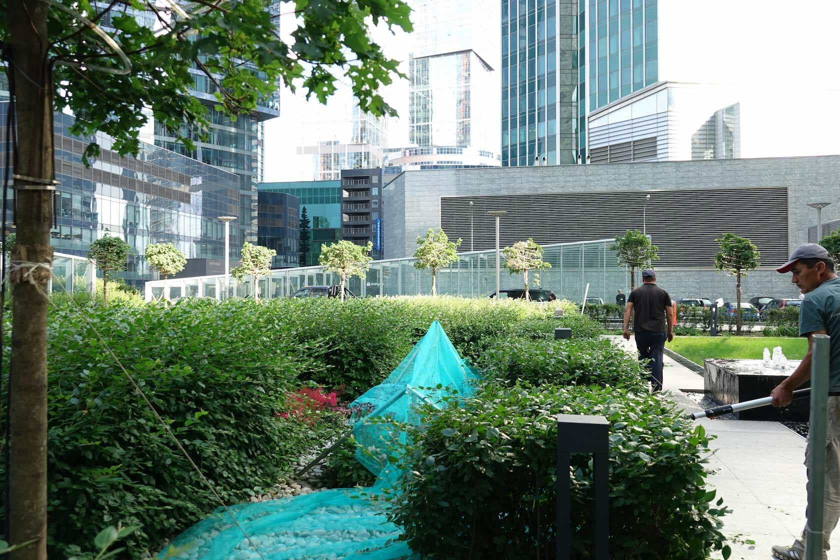 Москва-Сити