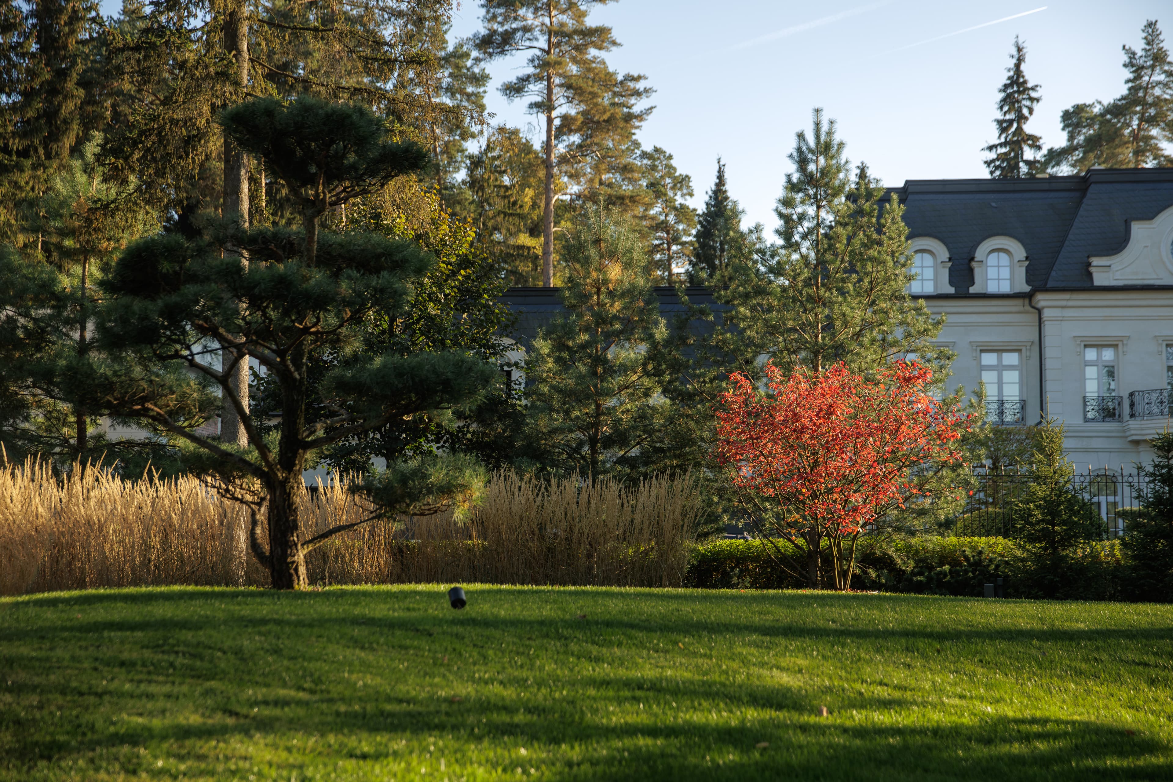 Новоуспенский