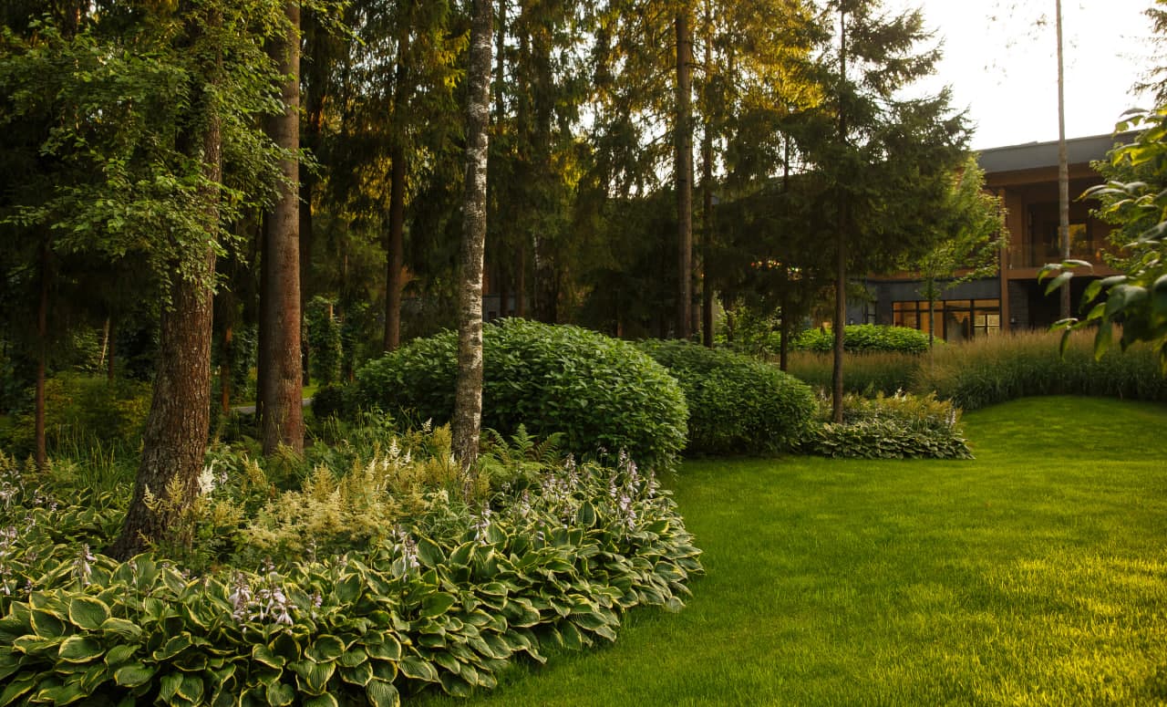 Успенский лес