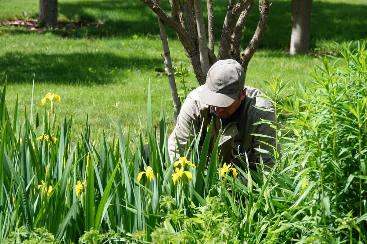 Сезонные работы по обслуживанию Сада