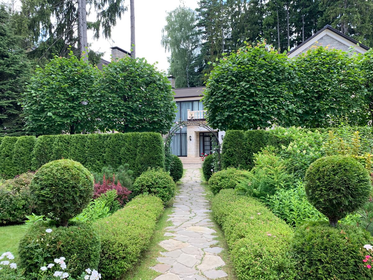 Декоративное формирование и обрезка кроны