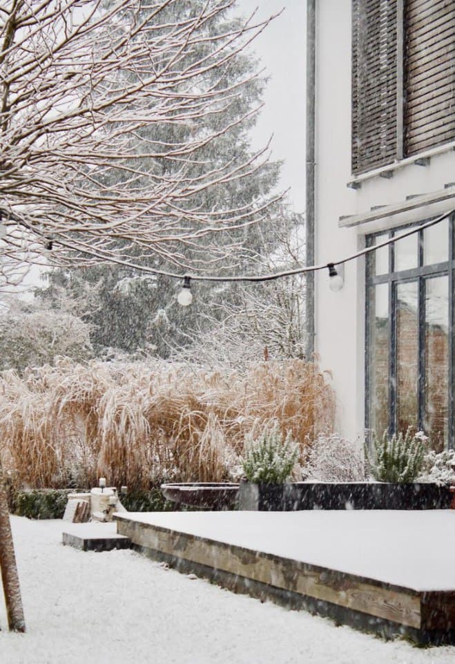 Почему важен профессиональный уход за Садом в зимний период?