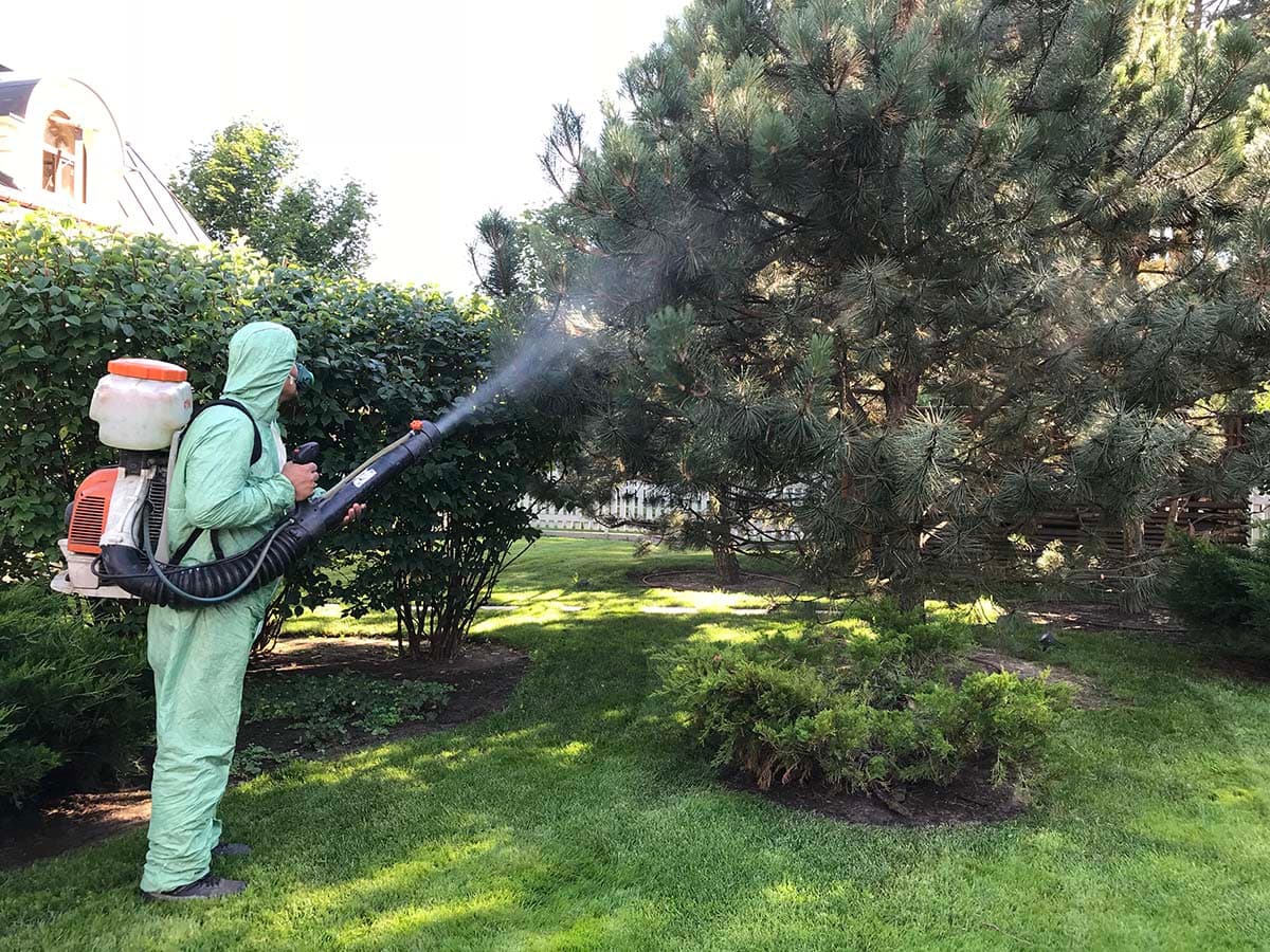 Защита от вредителей и болезней