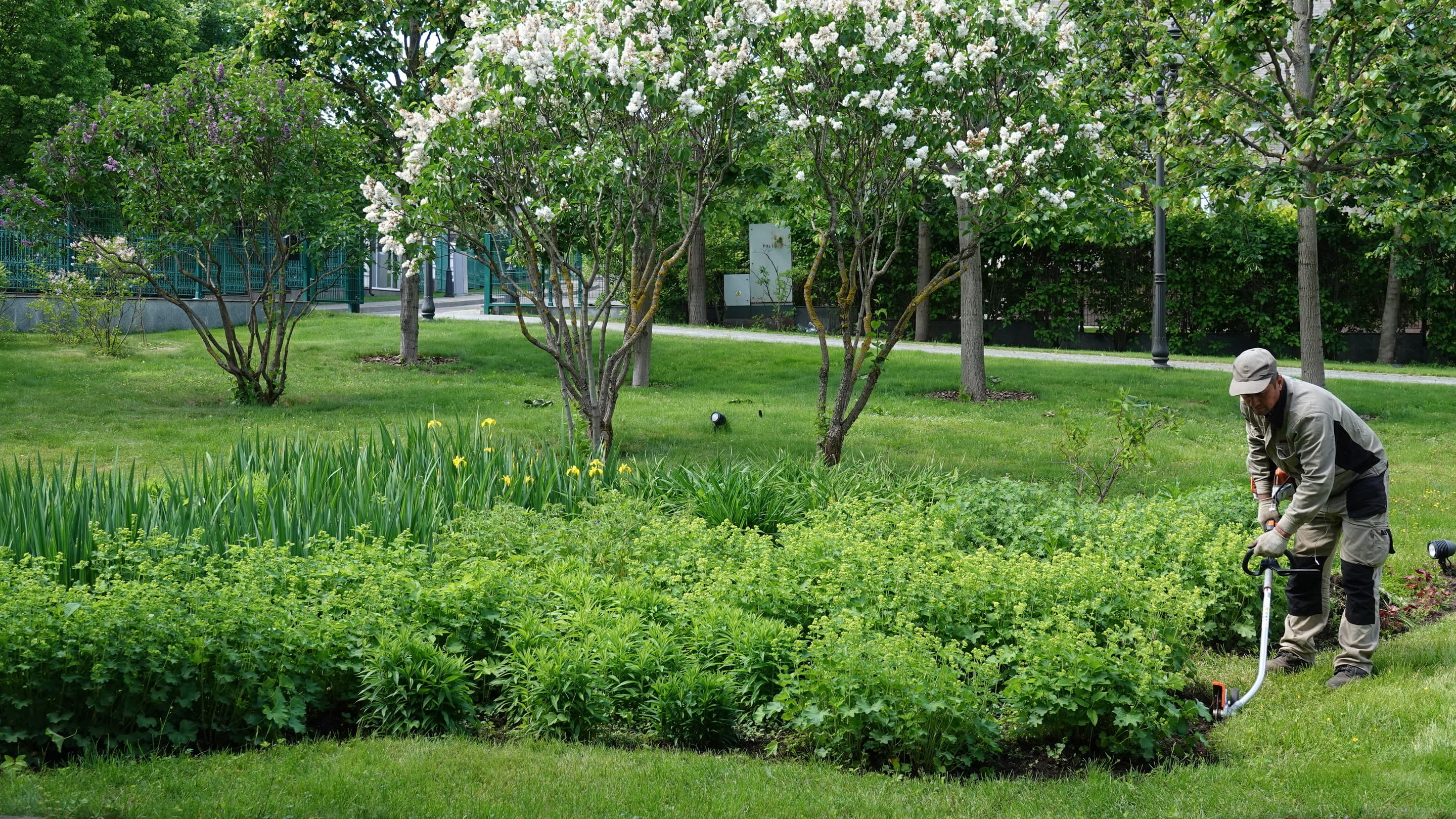 Уход за садом и обслуживание