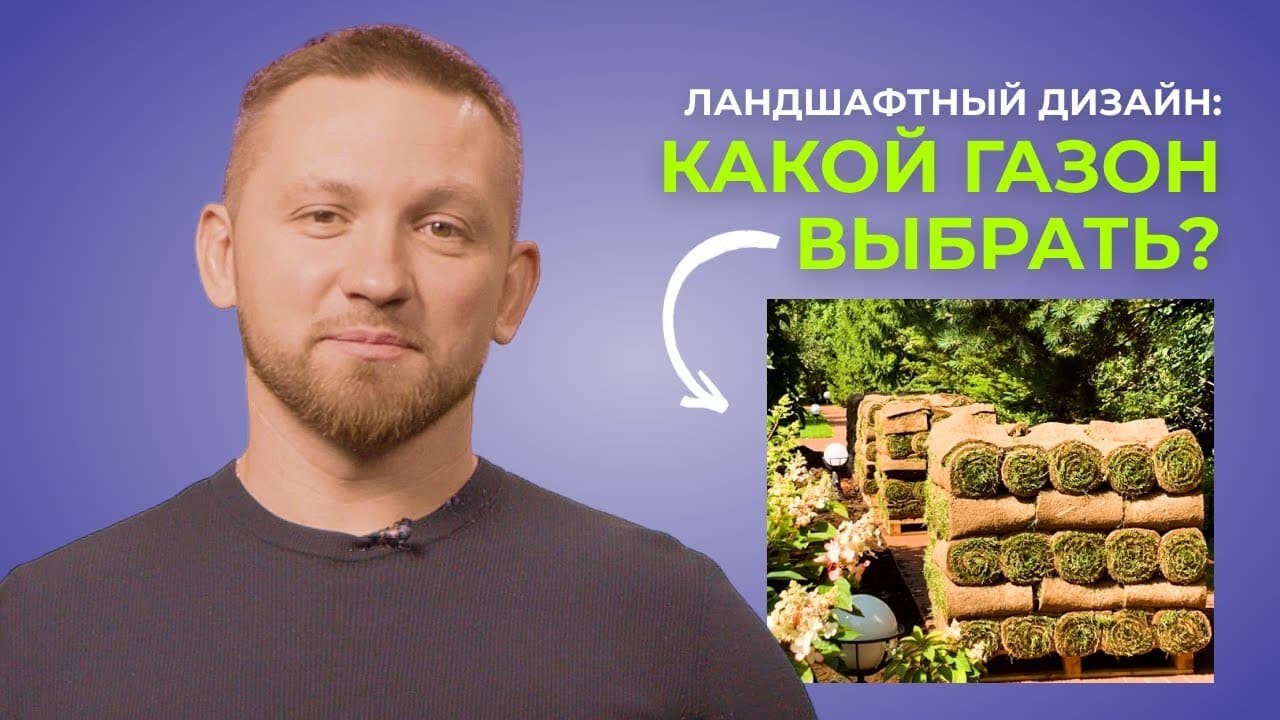 Плюсы и минусы посевного и рулонного газона