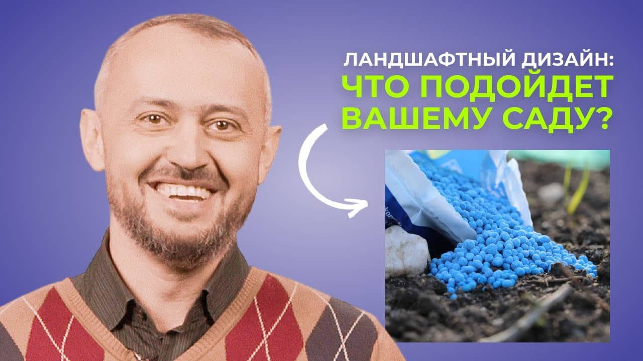 Удобрения и подкормки: органические и минеральные