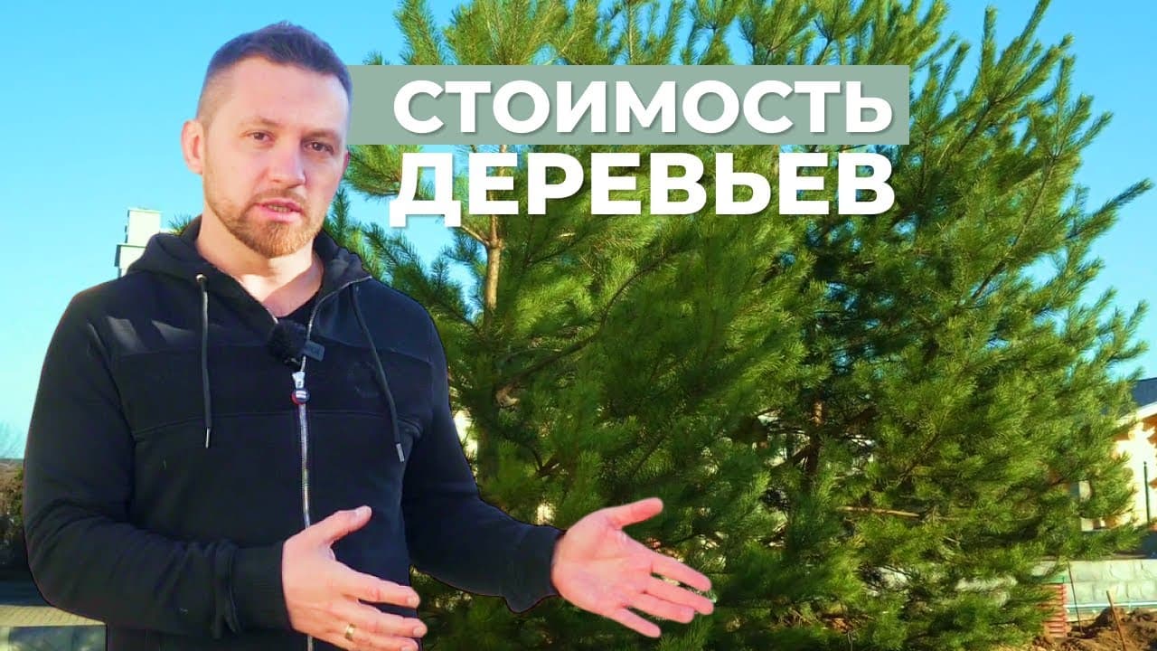 Крупномеры: правила выбора