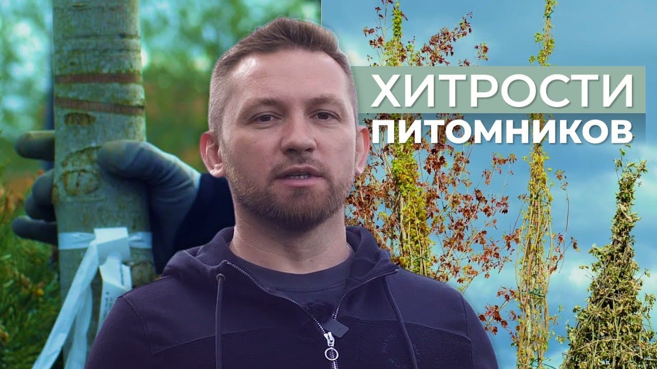 Хитрости садовых центров