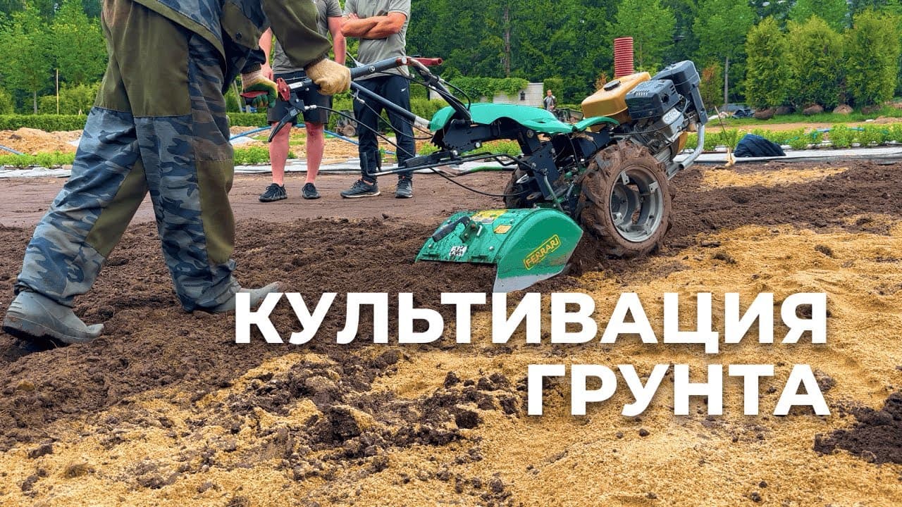 Вторичная рекультивация участка