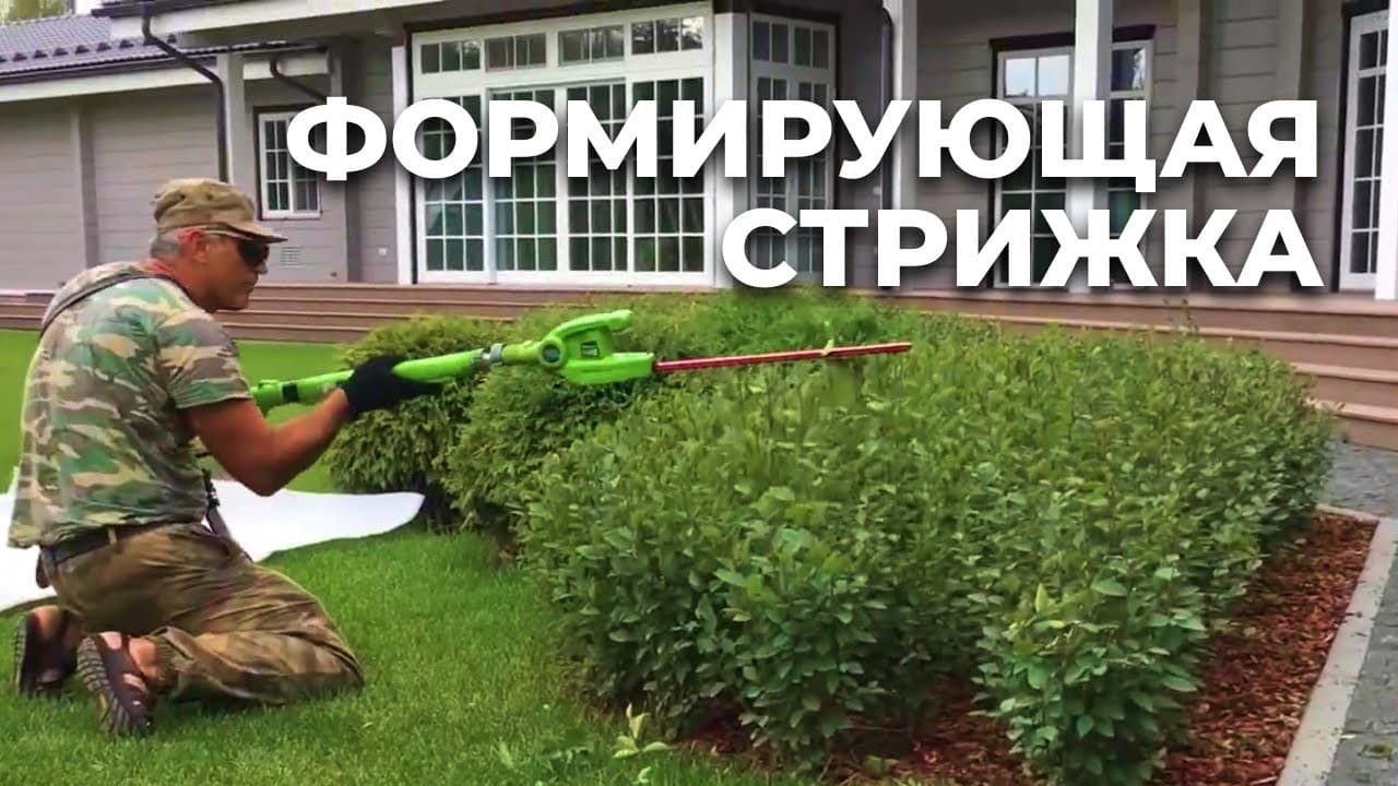 Стрижка растений
