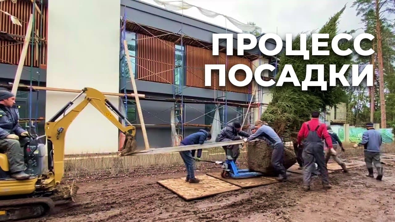 Процесс посадки крупномера