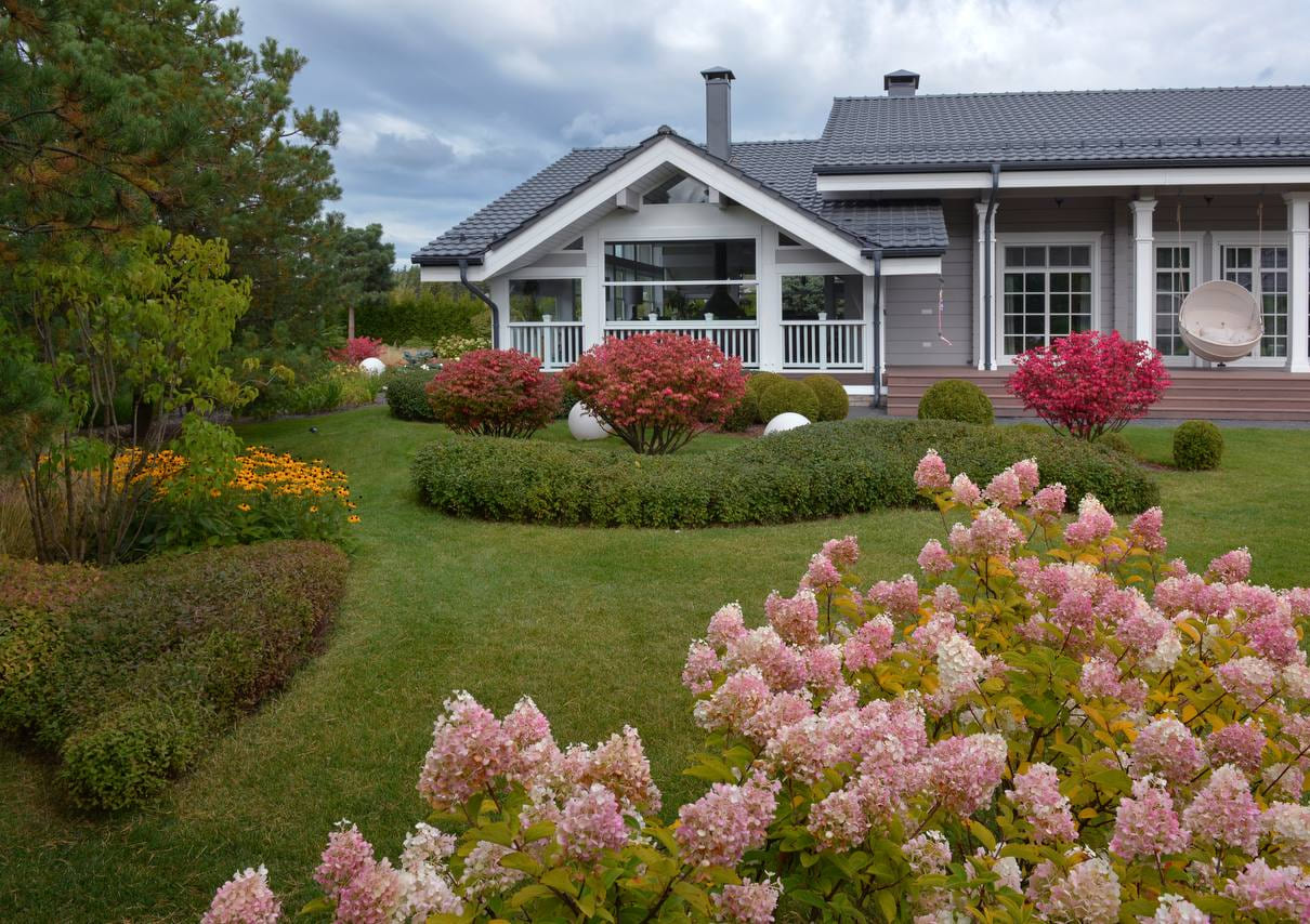 Подкормка растений