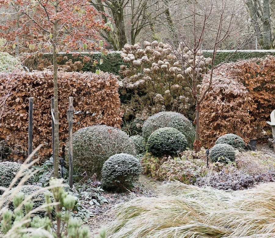 Уход за Садом в зимний период